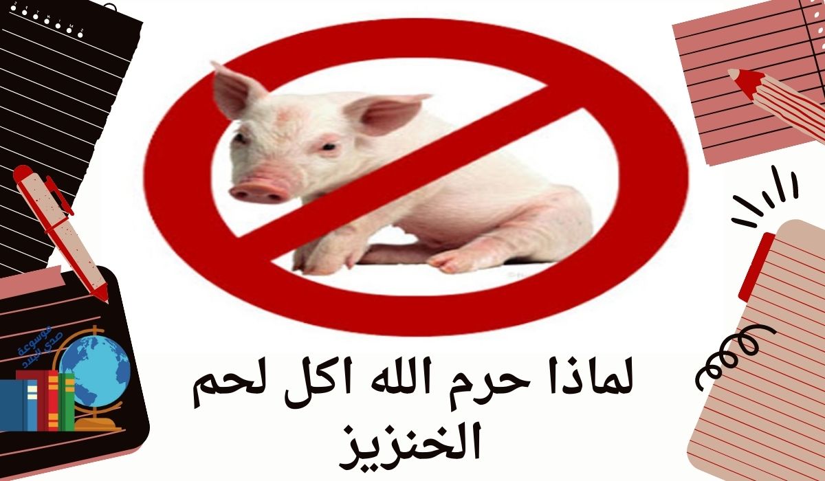 لماذا حرم الله اكل لحم الخنزيز
