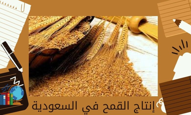 إنتاج القمح في السعودية