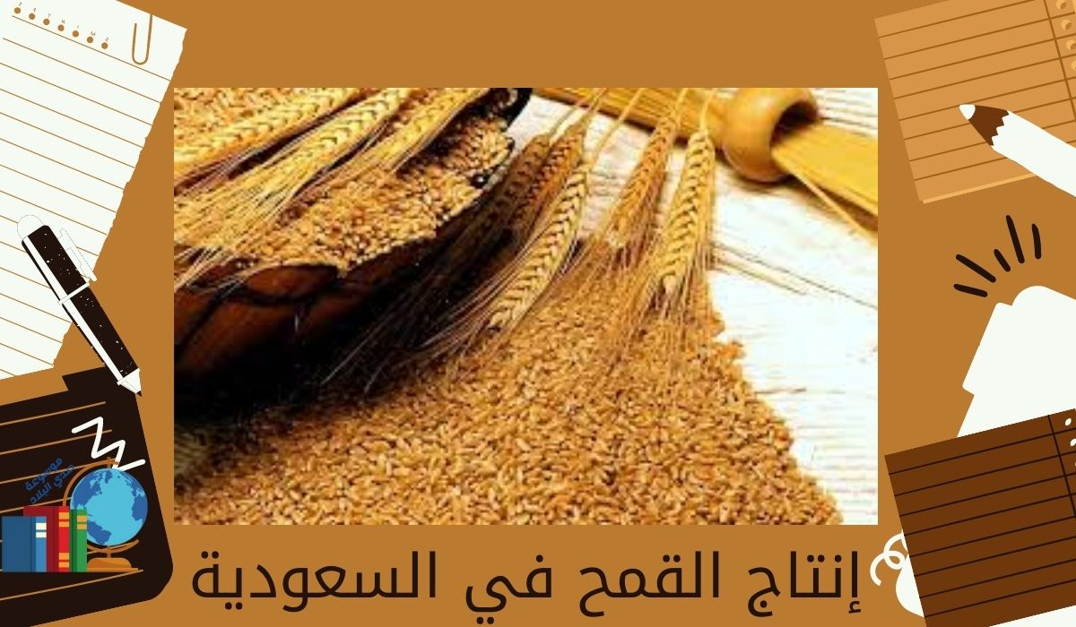 إنتاج القمح في السعودية