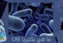 ما هي بكتيريا CRE