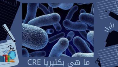 ما هي بكتيريا CRE