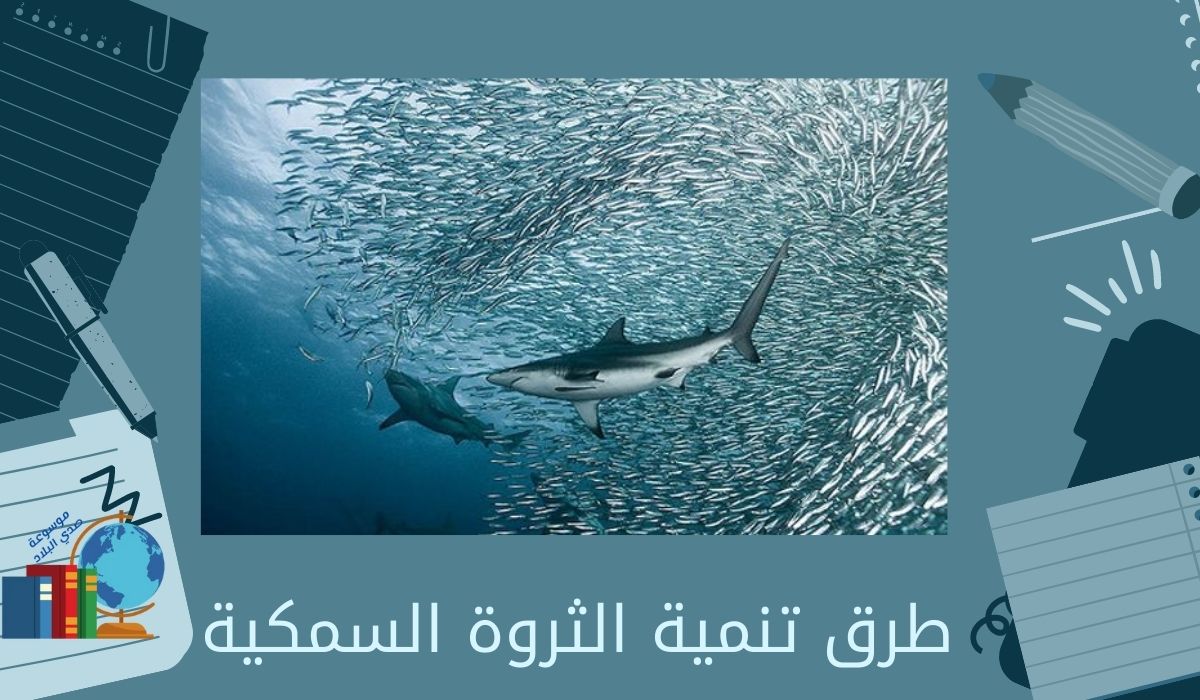 طرق تنمية الثروة السمكية