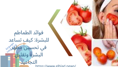 فوائد الطماطم للبشرة: كيف تساعد في تحسين مظهر البشرة وتقليل التجاعيد