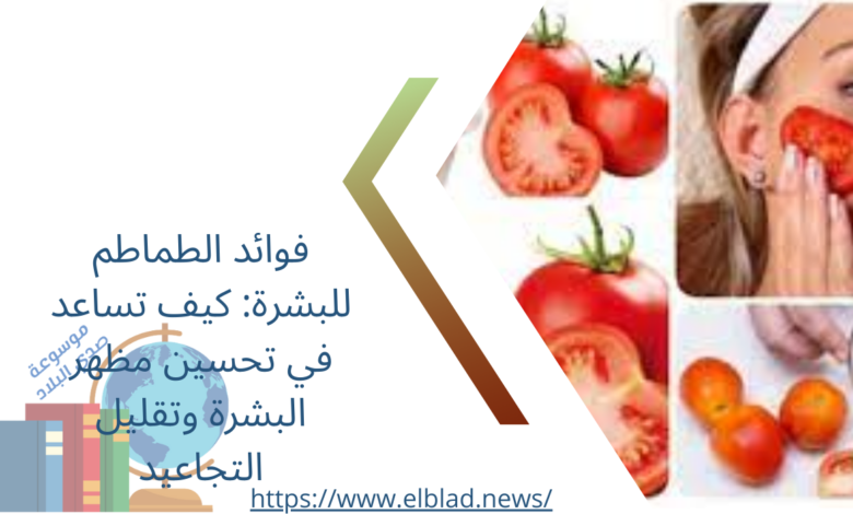 فوائد الطماطم للبشرة: كيف تساعد في تحسين مظهر البشرة وتقليل التجاعيد