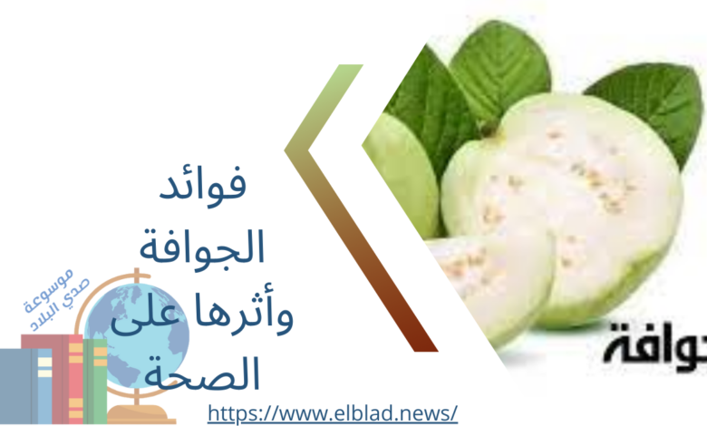 فوائد الجوافة وأثرها على الصحة