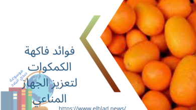 فوائد فاكهة الكمكوات لتعزيز الجهاز المناعي