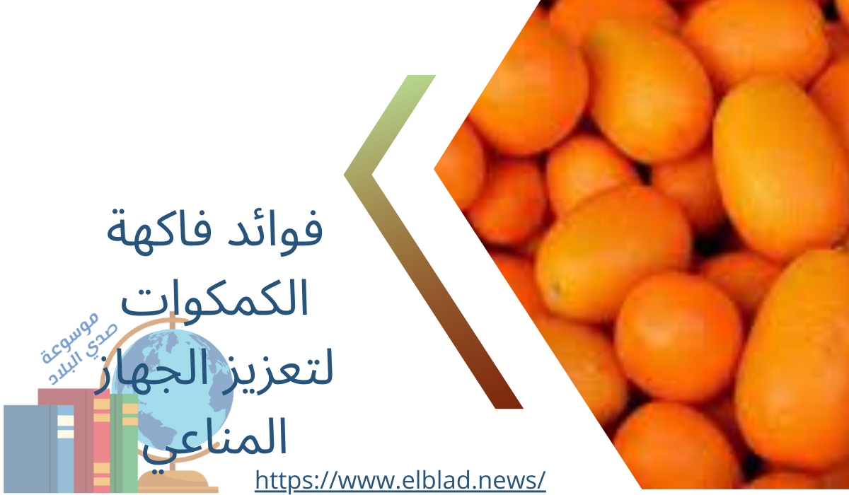 فوائد فاكهة الكمكوات لتعزيز الجهاز المناعي