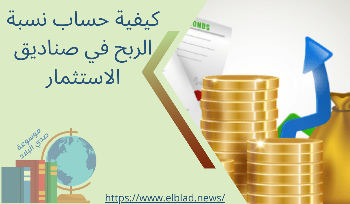 كيفية حساب نسبة الربح في صناديق الاستثمار