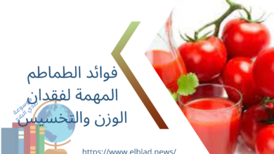 فوائد الطماطم المهمة لفقدان الوزن والتخسيس