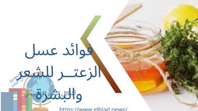 فوائد عسل الزعتــر للشعر والبشرة