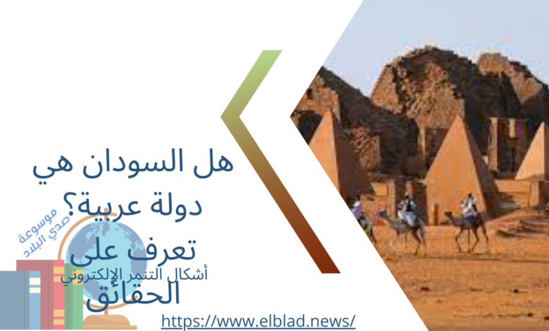 هل السودان هي دولة عربية؟ تعرف على الحقائق