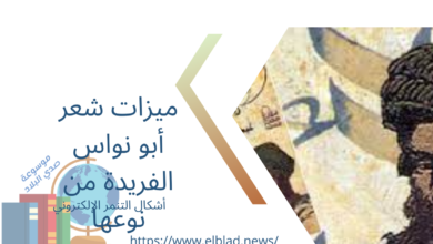 ميزات شعر أبو نواس الفريدة من نوعها