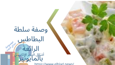 وصفة سلطة البطاطس الرائعة بالمايونيز