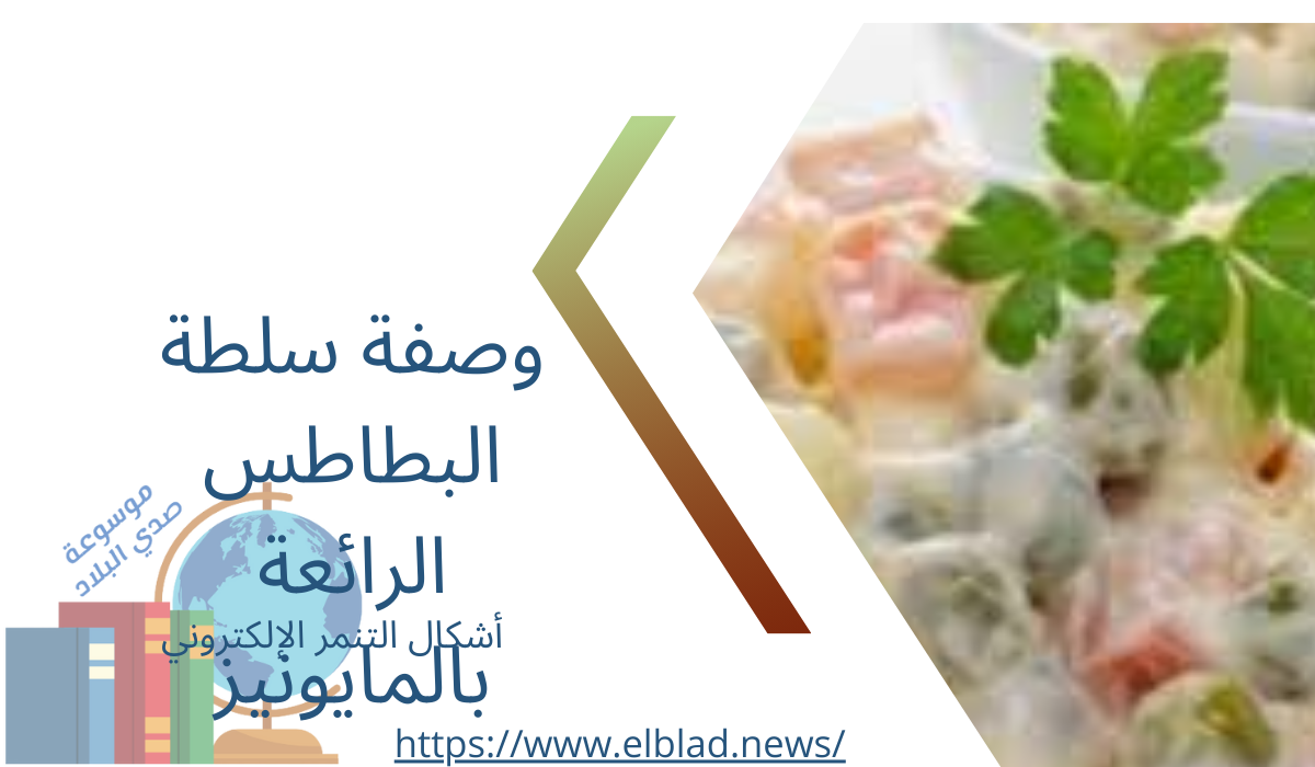 وصفة سلطة البطاطس الرائعة بالمايونيز