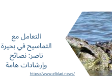 التعامل مع التماسيح في بحيرة ناصر: نصائح وإرشادات هامة