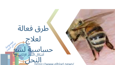 طرق فعالة لعلاج حساسية لسع النحل