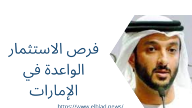 فرص الاستثمار الواعدة في الإمارات