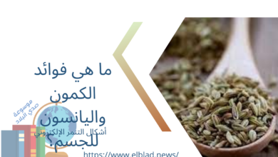 ما هي فوائد الكمون واليانسون للجسم؟